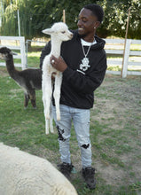 Load image into Gallery viewer, Embroidered “In That Mode” Artisan Alpaca Hoodie