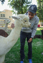 Load image into Gallery viewer, Embroidered “In That Mode” Artisan Alpaca Hoodie